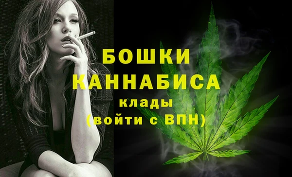 ПСИЛОЦИБИНОВЫЕ ГРИБЫ Нязепетровск