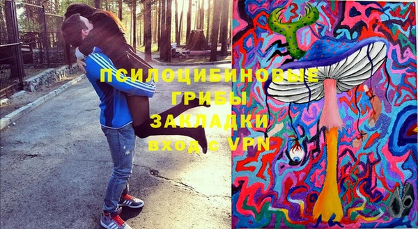 ПСИЛОЦИБИНОВЫЕ ГРИБЫ Нязепетровск