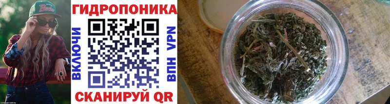 Бошки Шишки THC 21% Бабаево